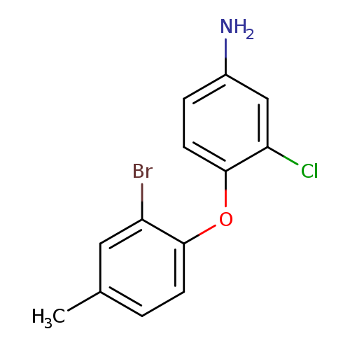 89-55-4