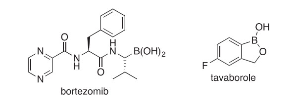 boronic acid